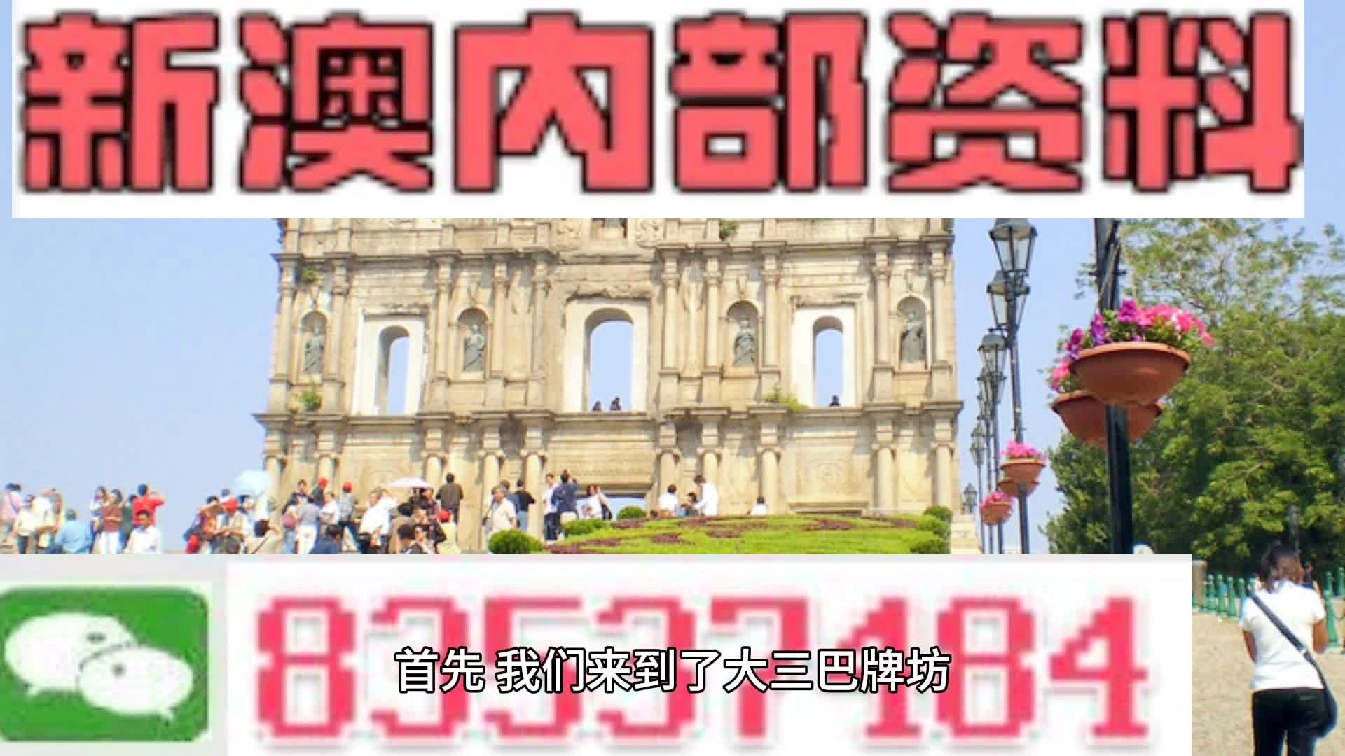 新澳2024大全正版免费资料,新澳2024大全正版免费资料解析与探讨