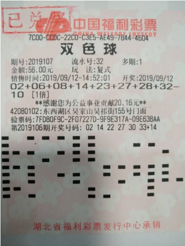 4949正版资料大全,4949正版资料大全，揭秘彩票行业的权威指南