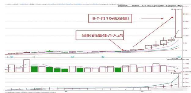 一码一肖100准你好,一码一肖的独特魅力与精准预测——揭秘背后的秘密