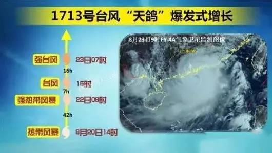 澳门最精准正最精准龙门蚕,澳门最精准正最精准龙门蚕——探索与解析