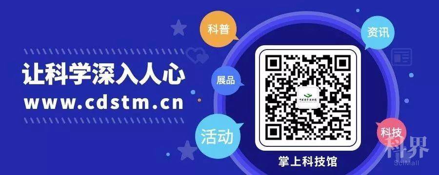 白小姐一肖一码100正确,白小姐一肖一码，揭秘神秘的预测艺术与科学的结合