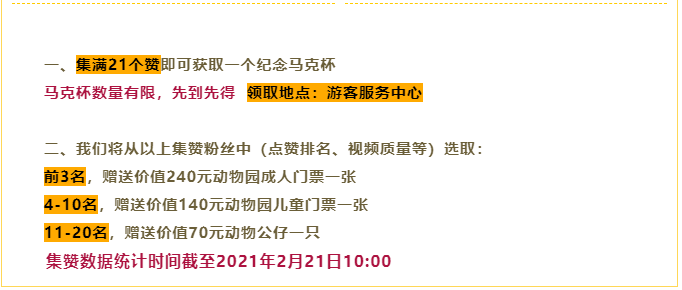 澳门六开奖号码2025年开奖记录,澳门六开奖号码2025年开奖记录，探索与解析