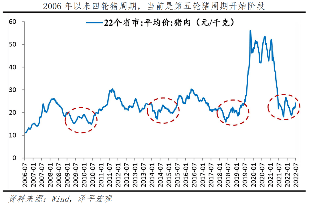 2025今晚新澳开奖号码,关于今晚新澳开奖号码的探讨与预测（2025年）