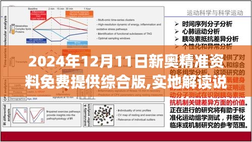 2025新奥精准资料免费大全,2025新奥精准资料免费大全，探索与启示