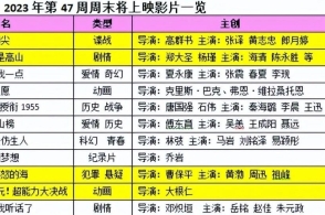 2025澳门正版免费码资料,澳门正版免费码资料与未来的探索（2025展望）