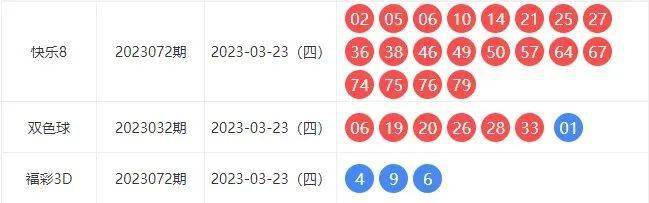 新奥全部开奖记录查询,新奥全部开奖记录查询，探索与解析