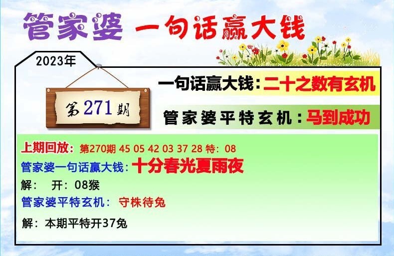 管家婆一肖一码00中奖网站,管家婆一肖一码00中奖网站——揭秘与探索