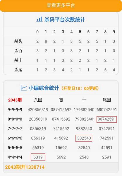 澳门一肖一码100%精准033期 22-48-13-35-32-01T：06,澳门一肖一码精准预测，探索期次与数字背后的秘密（第033期深度解析）