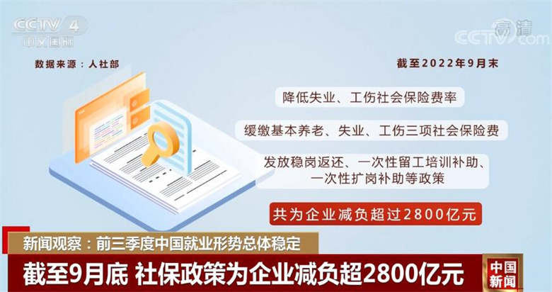 2025管家婆一特一肖133期 10-24-29-31-36-39N：21,探索2025管家婆一特一肖133期的奥秘，数字与策略交汇