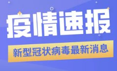 新澳精准正版资料免费119期 03-09-31-40-47-49Z：33,新澳精准正版资料免费分享，第119期彩票解析与预测