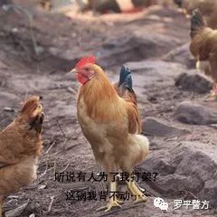 2025新澳今晚资料鸡号几号财安126期 07-29-34-41-44-48W：32,探索未来财富之路，新澳今晚资料鸡号与财安策略