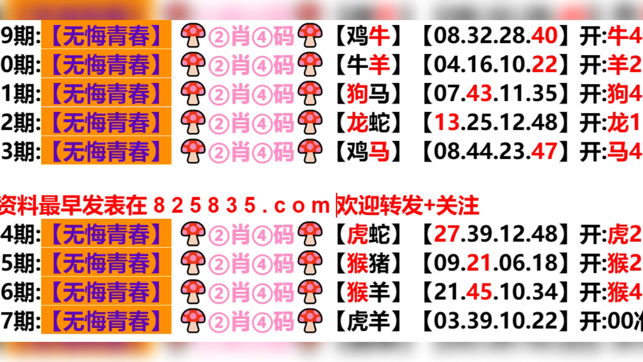 新奥门期期免费资料046期 10-23-36-38-43-46M：27,新奥门期期免费资料详解，046期之奥秘与策略分析