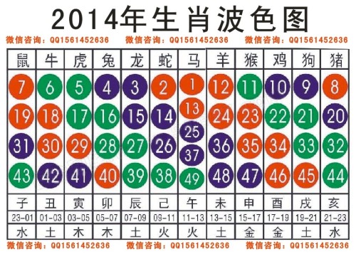 2025十二生肖49个码004期 04-49-26-19-30-44T：10,探索十二生肖与彩票密码，2025年49个码期之秘密