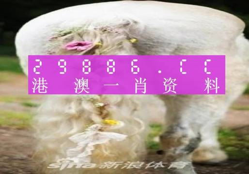 今晚一肖一码澳门一肖四不像005期 08-09-20-24-42-47M：46,今晚一肖一码澳门一肖四不像005期揭秘与解析，探寻数字背后的奥秘