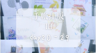 2025年管家婆的马资料50期103期 07-22-29-33-34-38V：41,关于2025年管家婆的马资料的探讨与研究